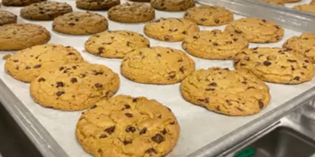 Nestlé Chocolate Chip Cookie Recipe